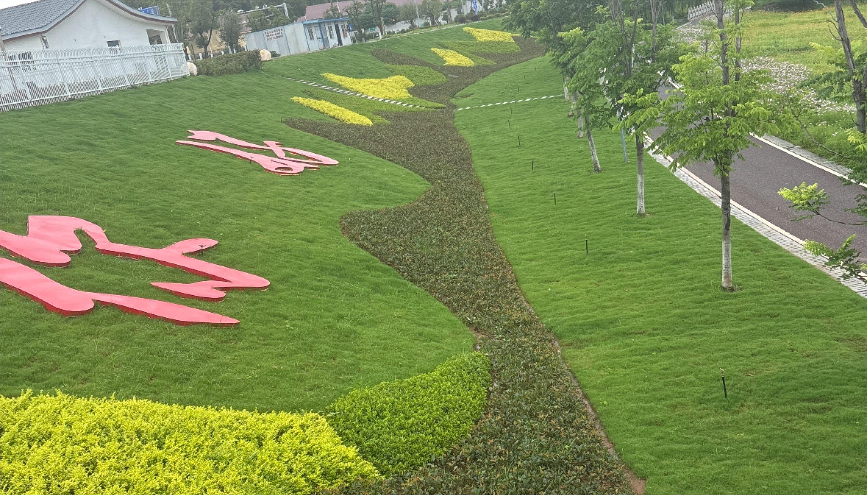 螺湖码头坡面绿化工程