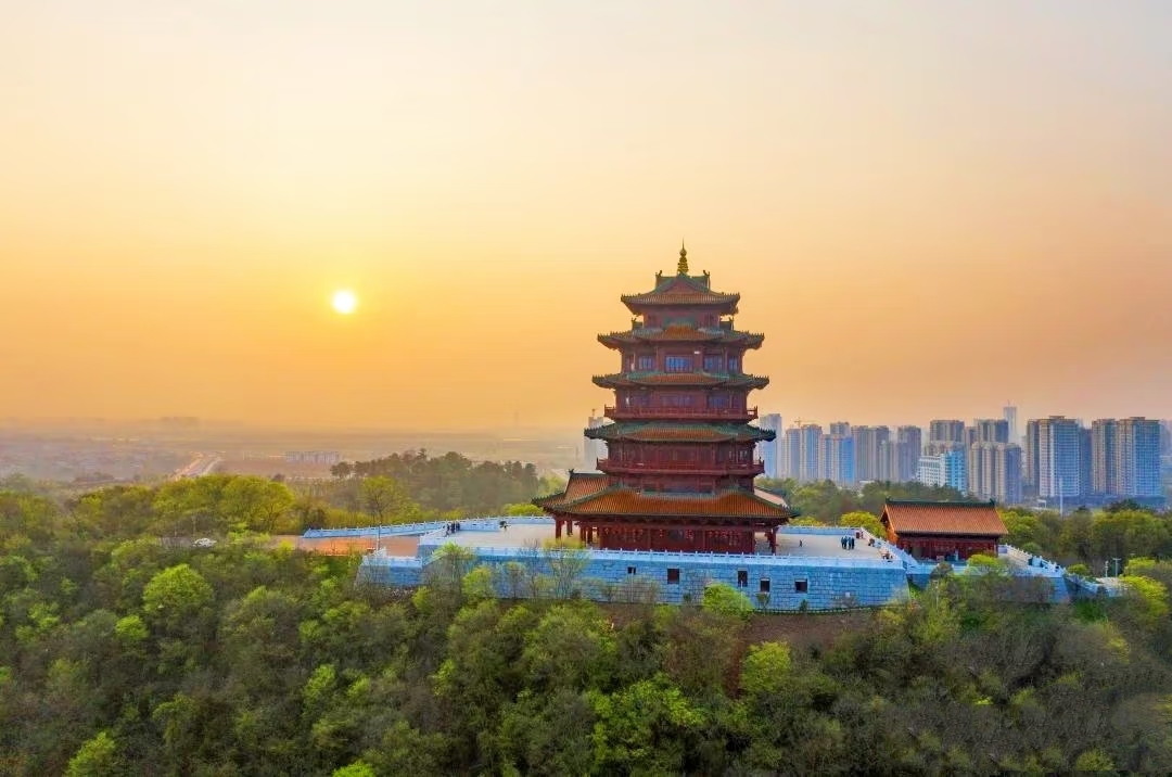 神冈山公园绿化养护工程