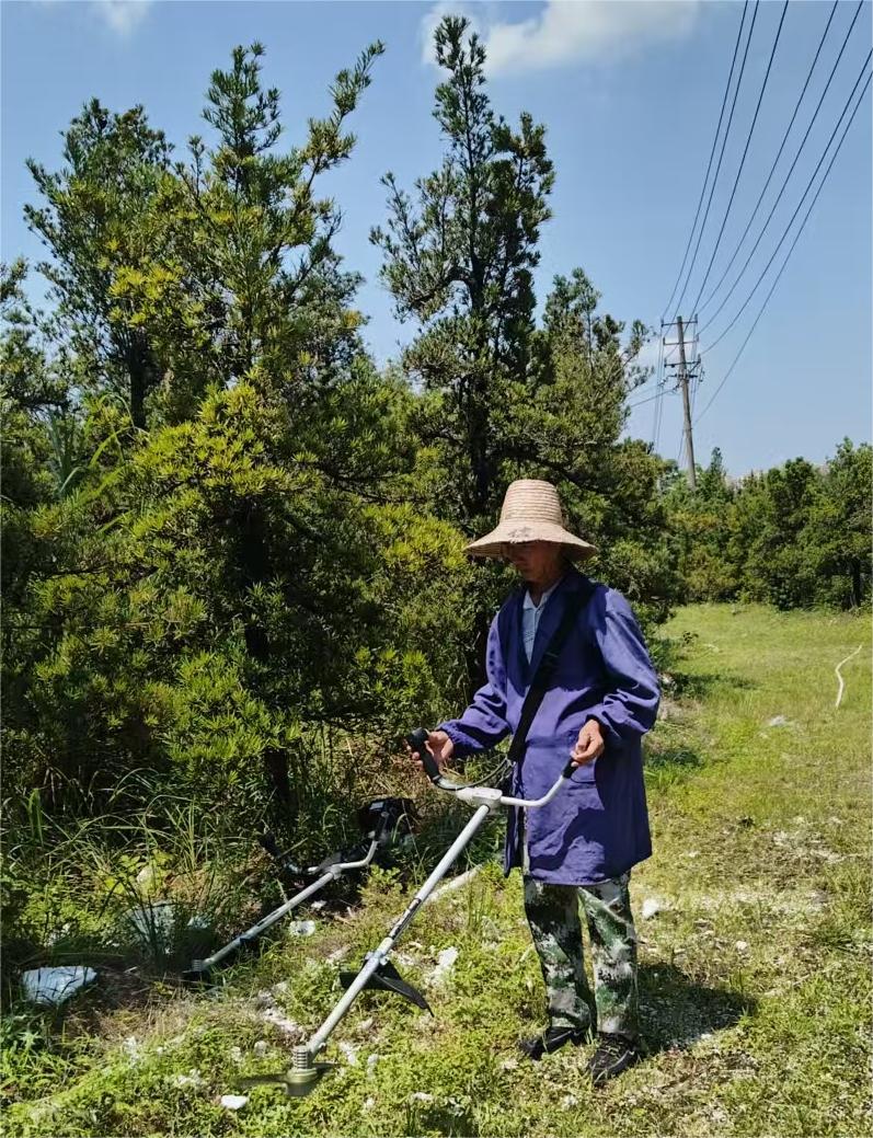 全面检修喷灌设施，保障苗木灌溉用水